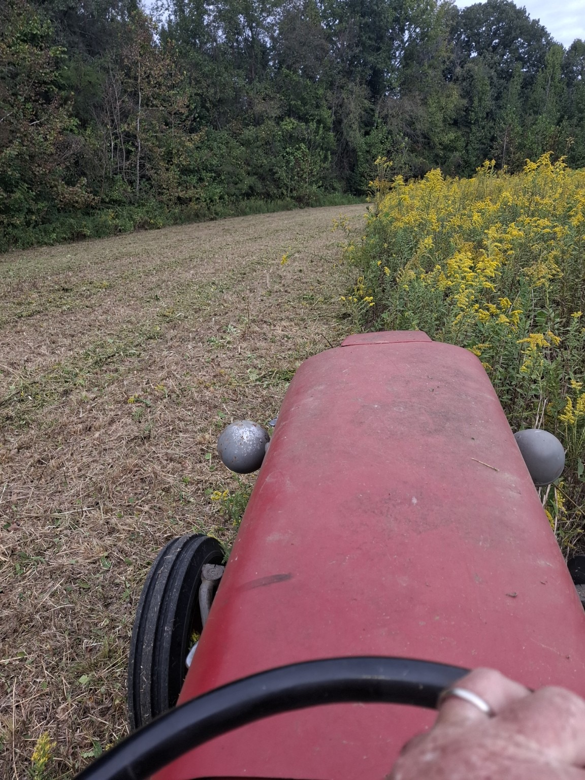 Red tractor mowing a field