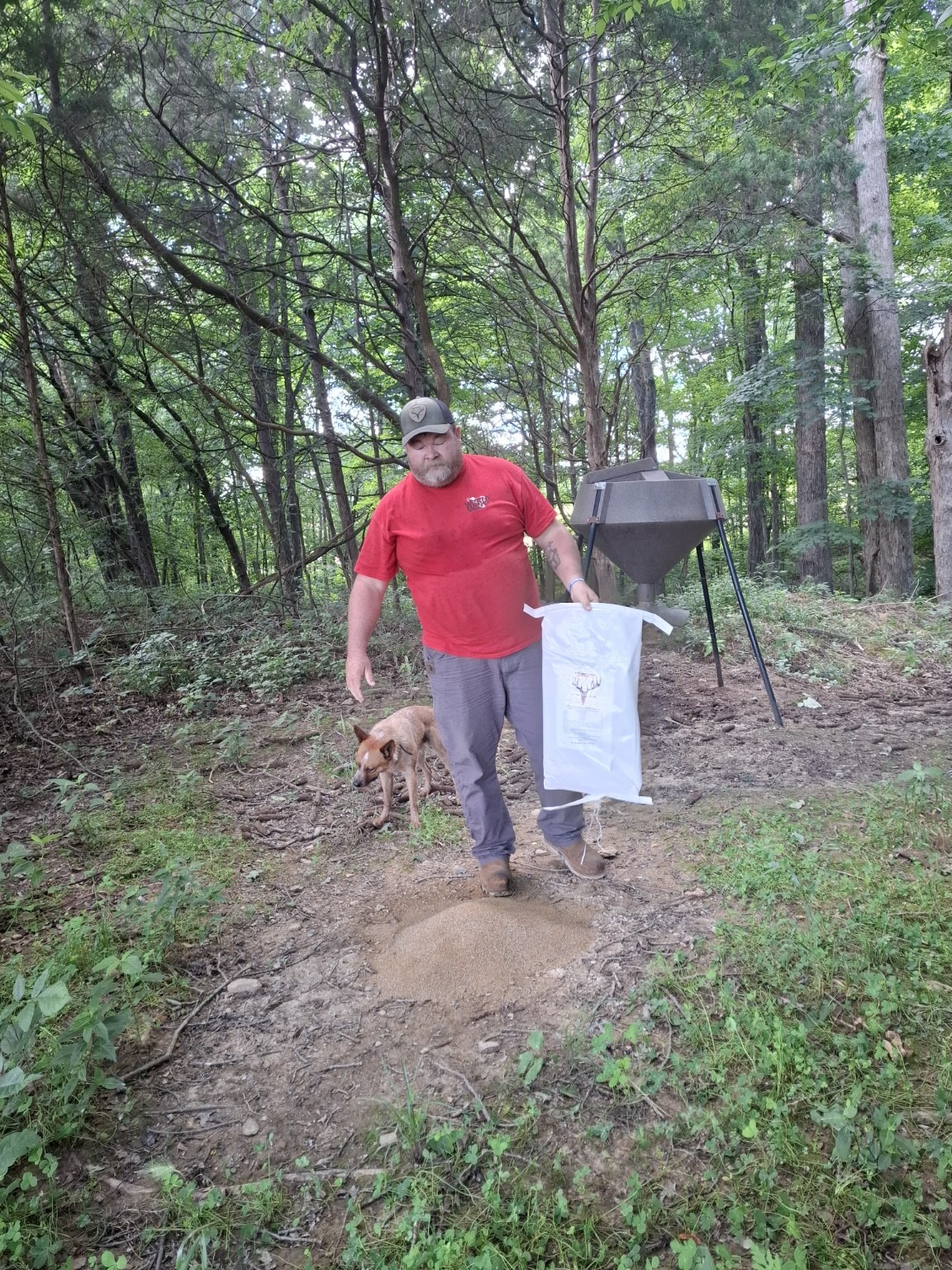 Wildlife feeder setup on a property